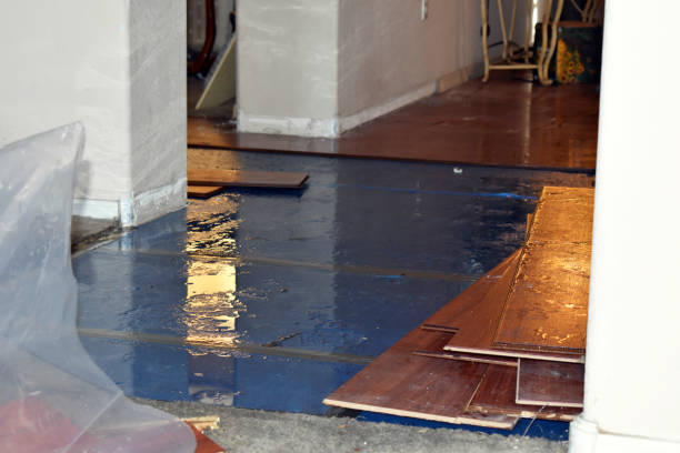 Professional Water Extraction technician working in Highlands, CA